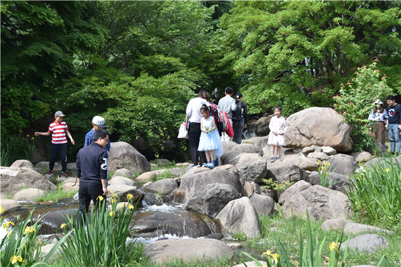 旅游日半价门票 沪上公园邀您共赏春色