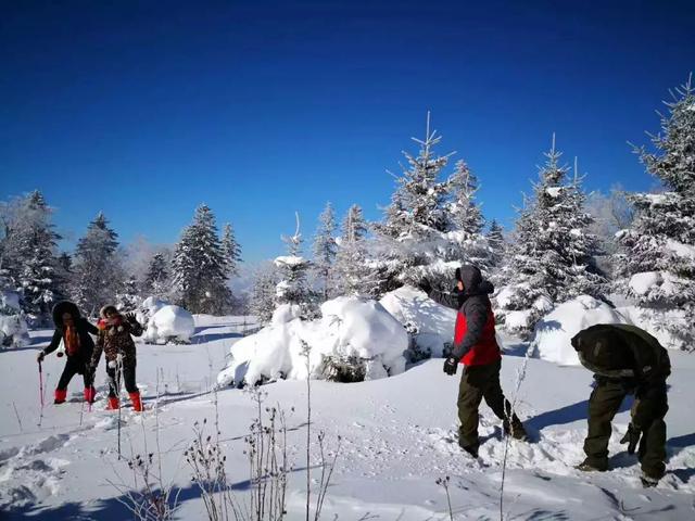 为了雪，去一次东北也值得