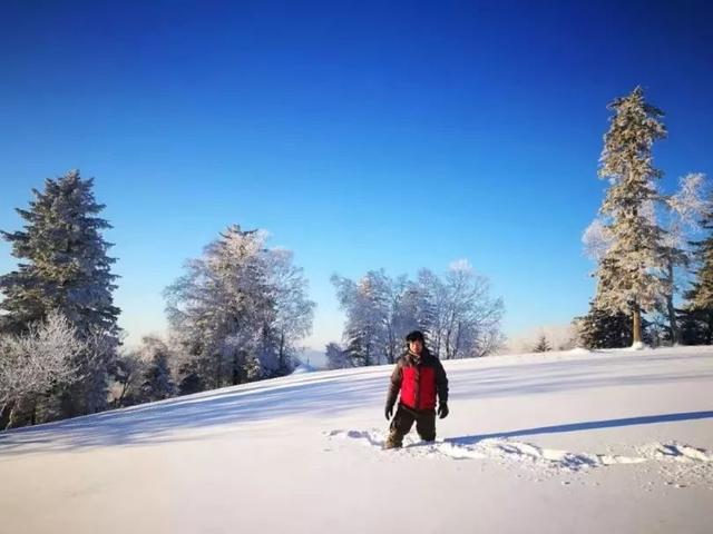 为了雪，去一次东北也值得