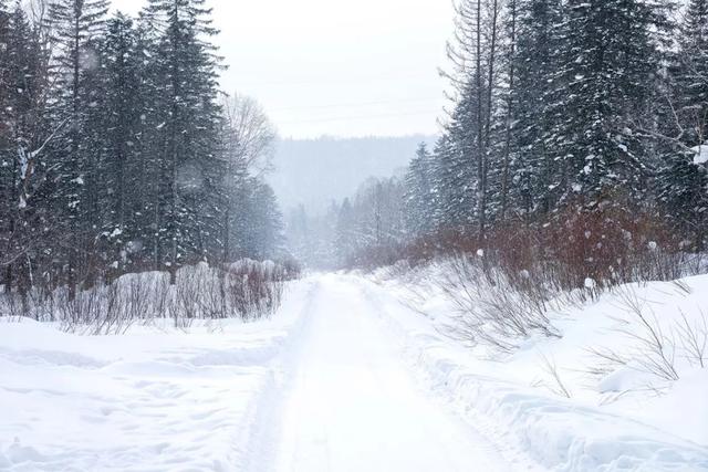 为了雪，去一次东北也值得